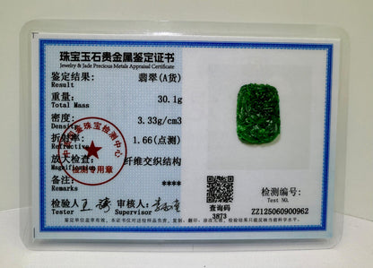 Jade Rich Green Nine Dragon Pendant - 天然翡翠玉九龙牌